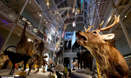 National Museum of Scotland, Sodexo Prestige, Scotland, conferences, awards ceremonies, gala dinners, private parties,