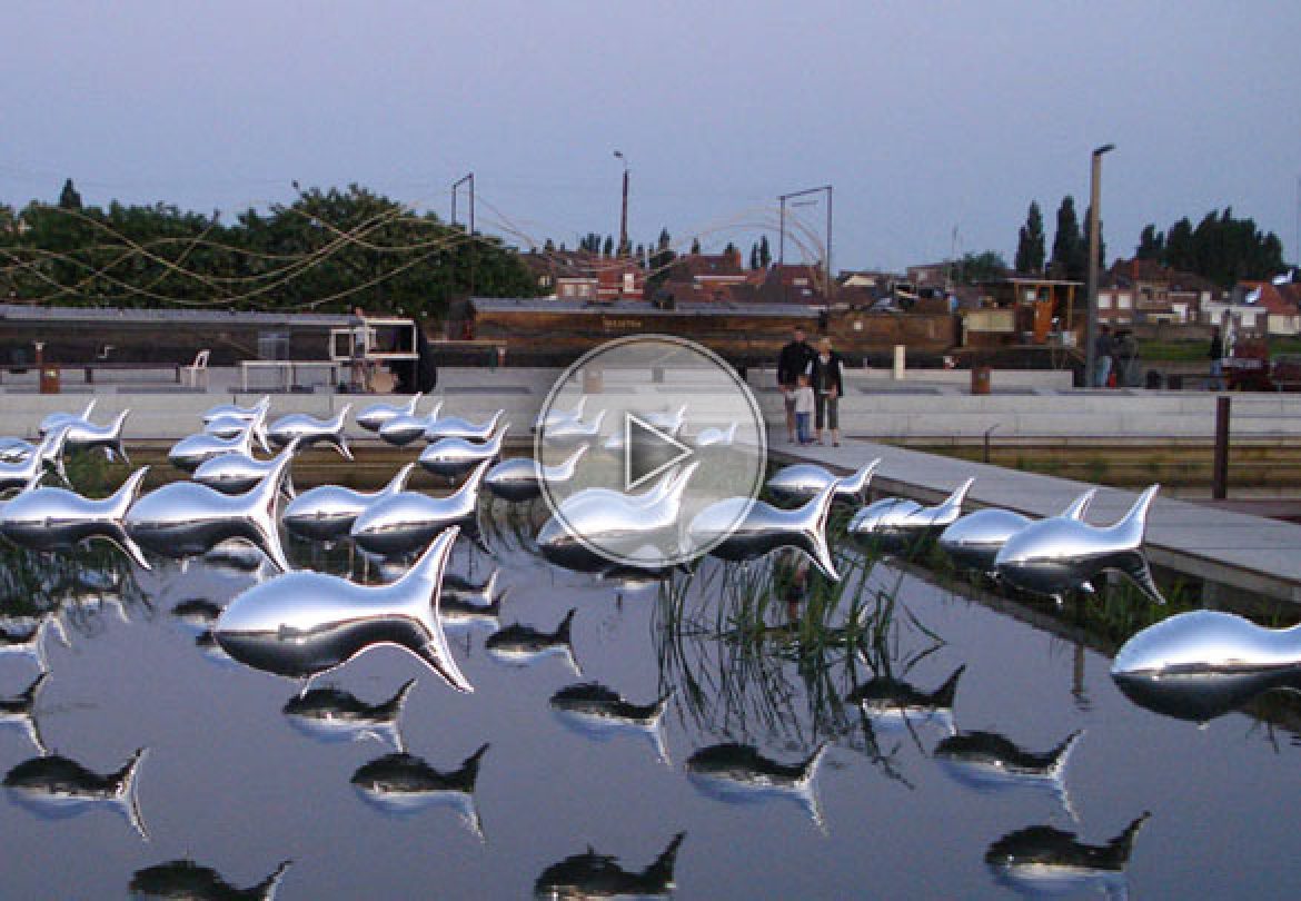 aluminium flying fishes, fishes, flying fishes, fish entertainment