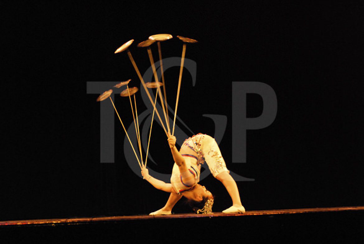 contortion, plate spinning, switzerland, artist, show, event, circus, contortionist, asian artist