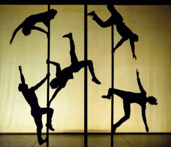 Chinese pole, pole troupe, pole group, Chinese pole group, Chinese pole troupe, dancers, dance group, dance troupe, shadow show, shadow dancers