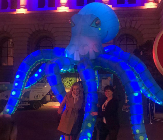 Lighted octopus, led octopus, lighted jellyfishes, led jellyfishes, sea themed event, water event themed, sea marine event, ocean event, sea show, marine show