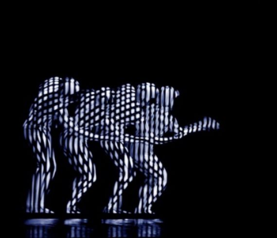 Zebra show, zebra act, zebra dance, hypnotizing dance, unusual dance, optical effect, optical effect show, optical effect dance, hypnose dance, hypnose show, zebra dancers, led dancers, blackout dancers, led dance, blackout dance