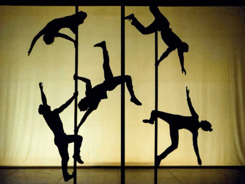 Chinese pole, pole troupe, pole group, Chinese pole group, Chinese pole troupe, dancers, dance group, dance troupe, shadow show, shadow dancers