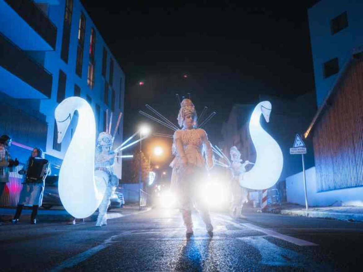 luminous swans, show swans, giant swans, artist swans, wading swans, street show, wandering swans
