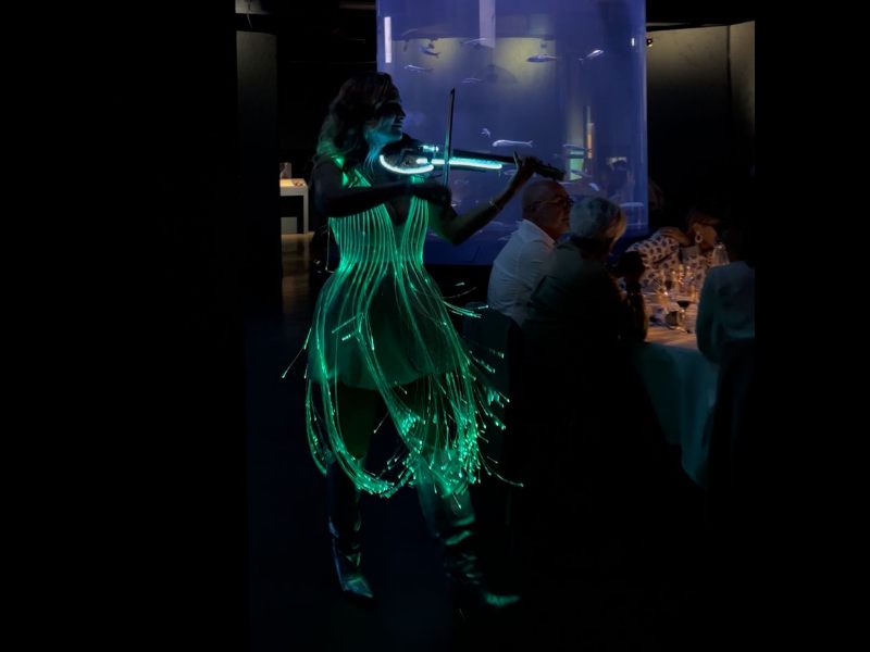 led violin Paris, led musician, led violin brest, marine event entertainment, Aquarium of Brest show, light performance, sea-themed event, artistic musician