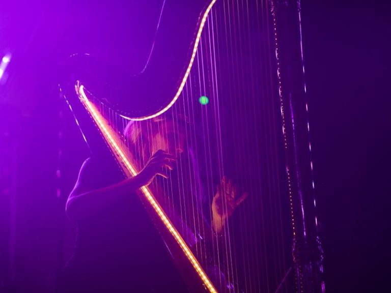 luminous harpist Monaco, harpist corporate gala dinner, live harp performance Monaco, harpist Hôtel de Paris Monaco, classical harpist luxury event, luminous harp show, harpist gala dinner Monaco, live harp Monaco, harpist technology event, luxury live music Monaco