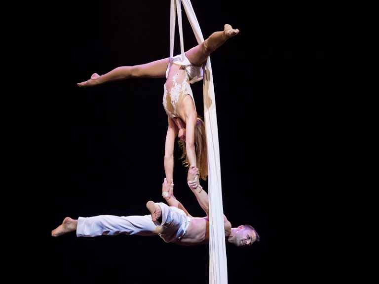 aerial silks duo, aerial silks show, aerialist for corporate events, aerial act for annual client meeting, corporate event entertainment Clermont-Ferrand, aerial performance in a theatre venue, aerial duo show France, client convention entertainment